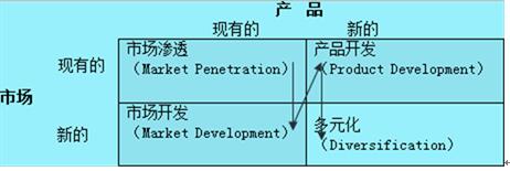 2017年高级会计师_高级会计实务章节考点:战略类型及选择